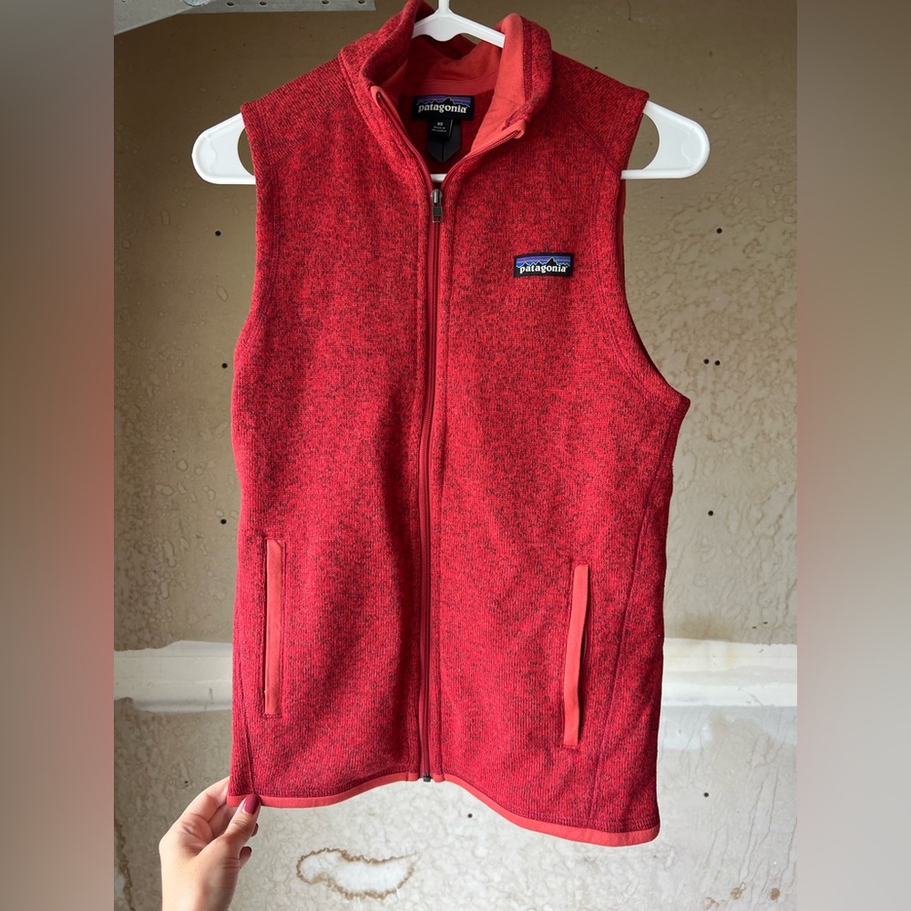 Patagonia vest